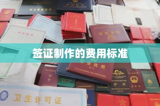 玛纳斯签证制作的费用标准